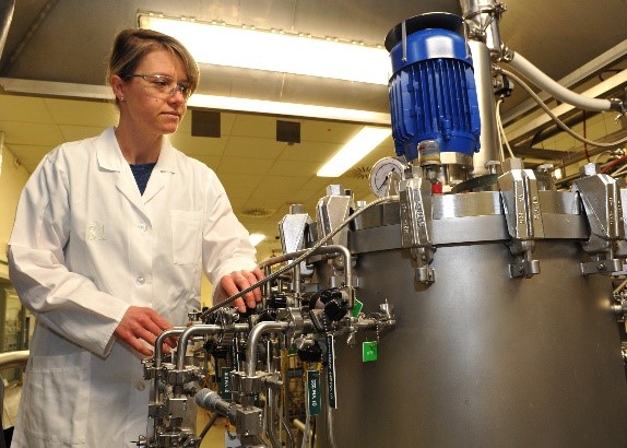 Photo: Andr&eacute; K&uuml;nzelmann/UFZ